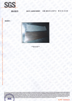 91视频下载免费观看检查报告SGS（中）