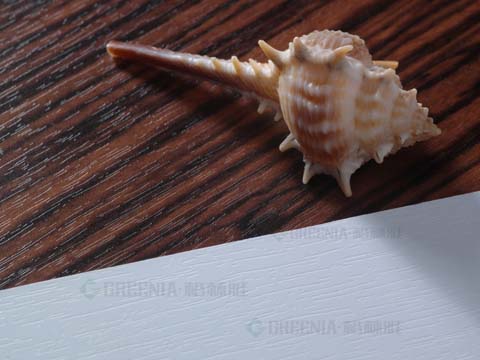 91视频下载免费观看防火板
