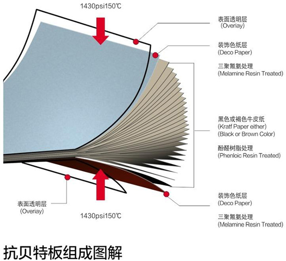 91视频下载免费观看抗倍特板组成图解