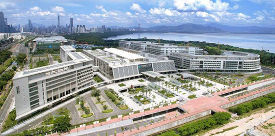 91视频下载免费观看工程案例之香港大学深圳医院